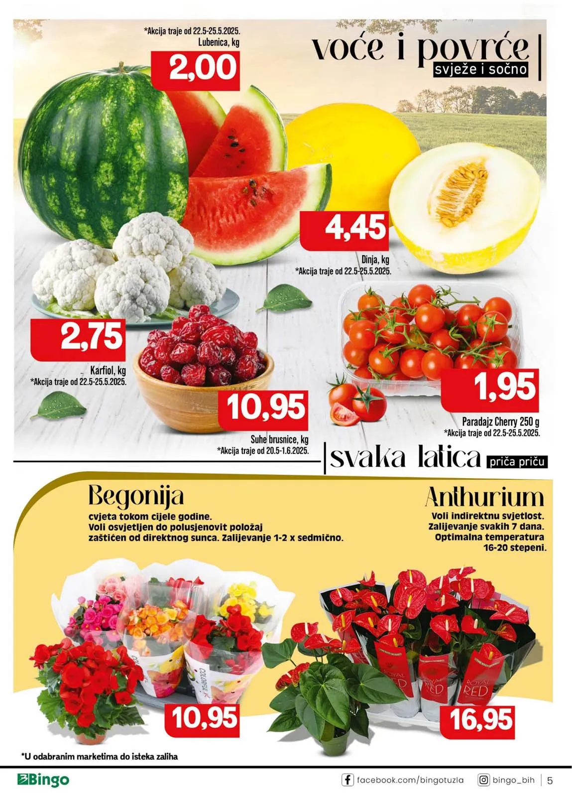 Katalog Bingo