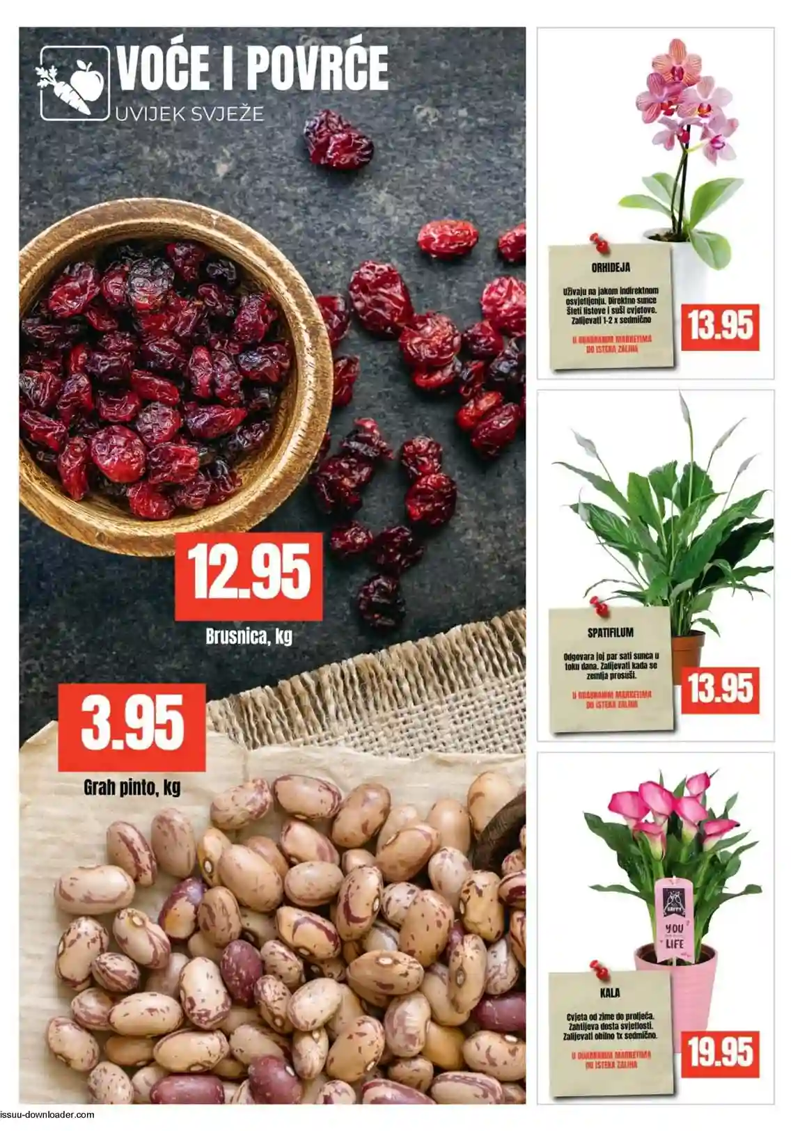 Bingo katalog sniženja strana 3