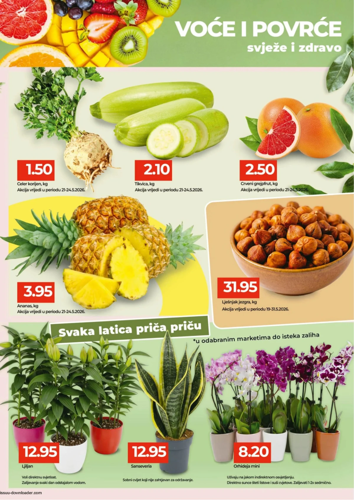 Bingo katalog maj 2026 delikates suhomesnato i pileća prsa