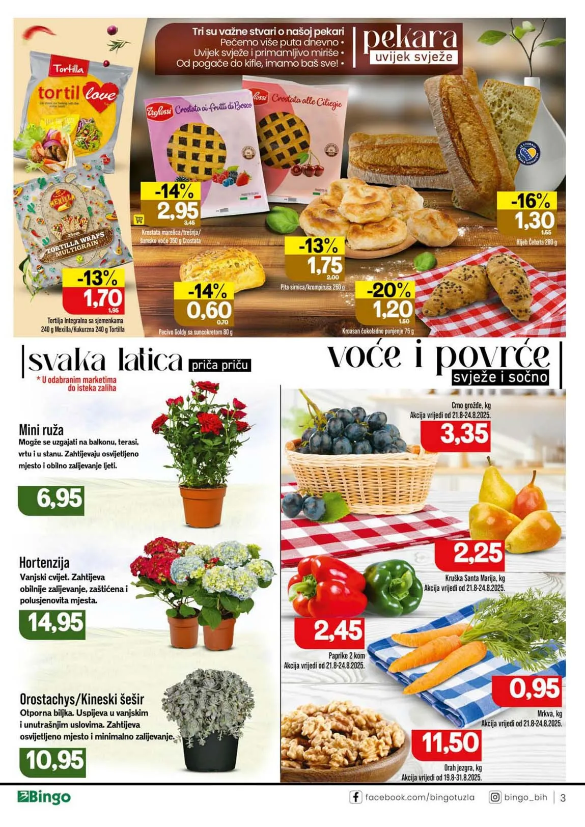 Katalog Bingo