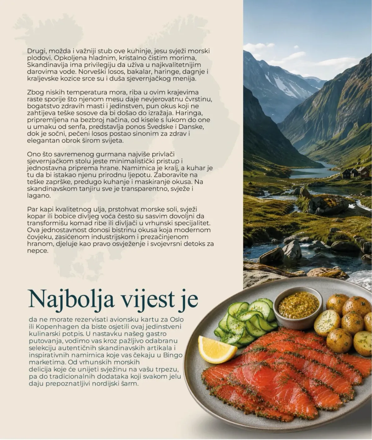 Bingo Magazin+ do 01.09.2026. – gastro inspiracija i odabrani proizvodi