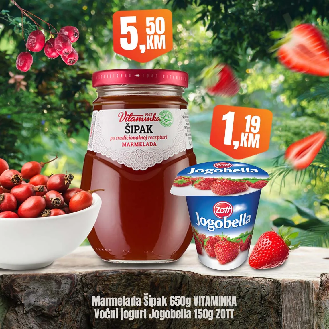 Fortuna kataloška ponuda Fortuna market akcija