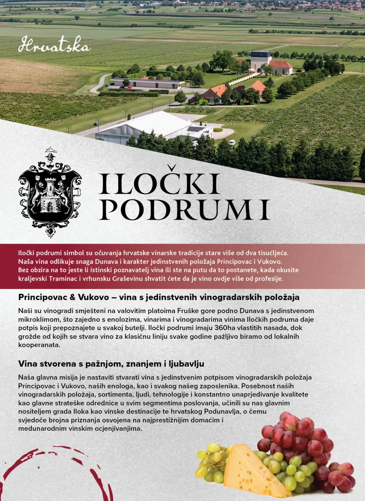 Iločki podrumi – predstavljanje vinarije