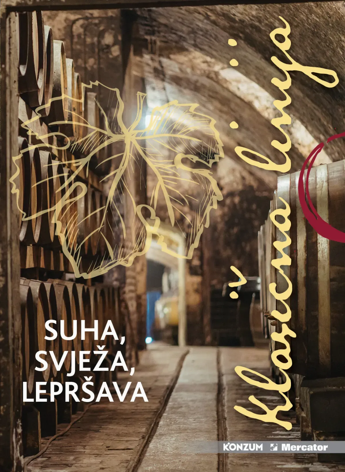 Iločki podrumi – suha svježa i lepršava vina