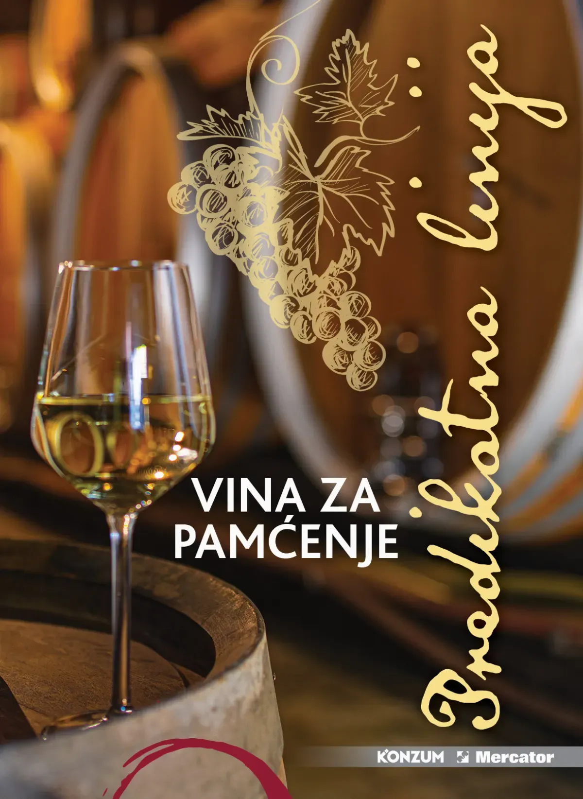 Iločki podrumi – vina za pamćenje