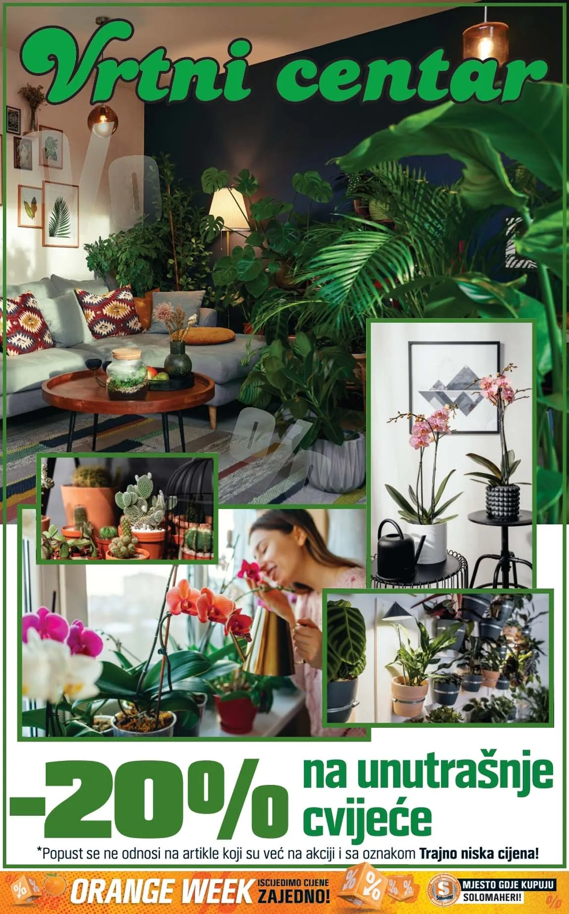 Obi solomaheri AKCIJA