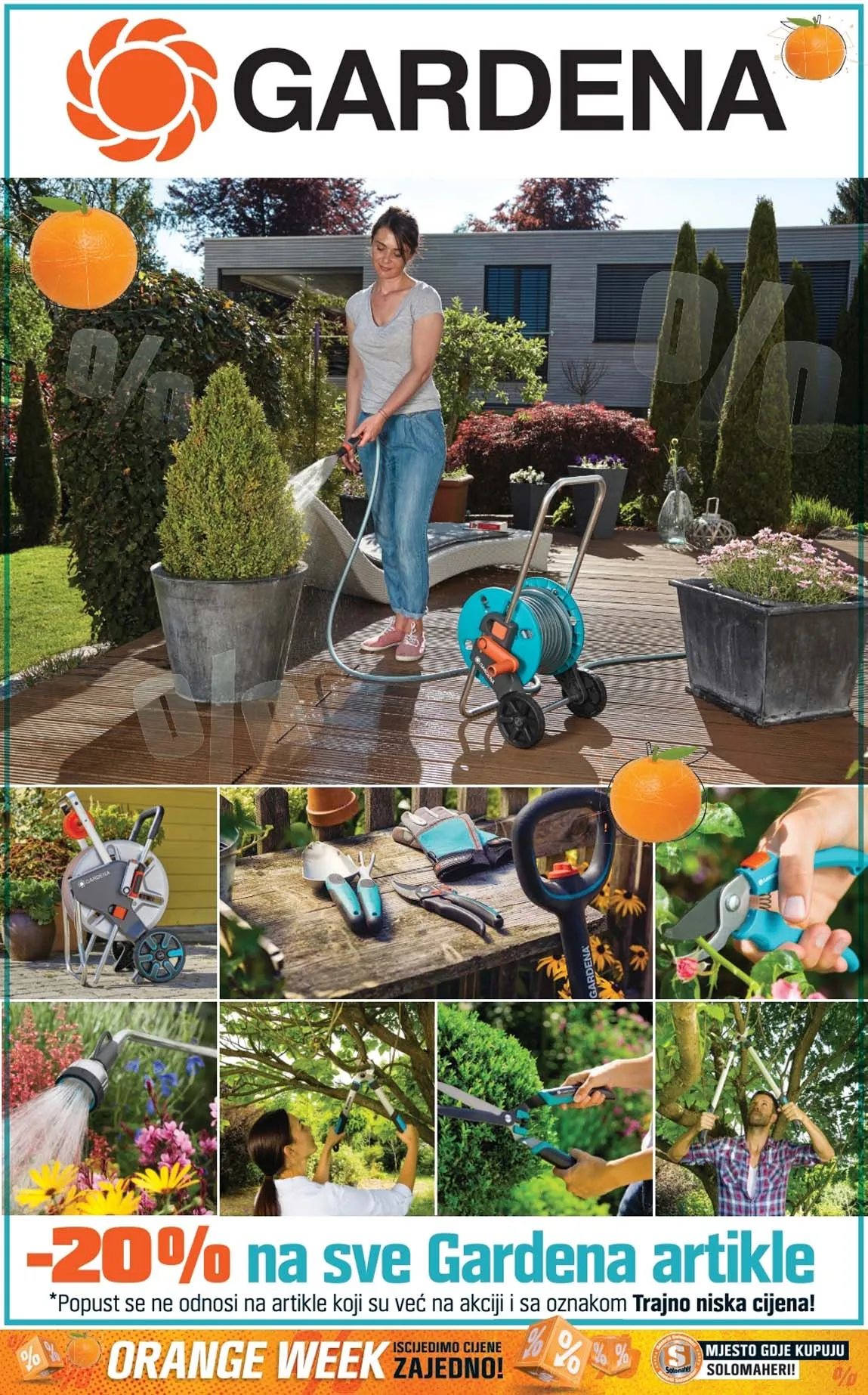 Obi solomaheri AKCIJA