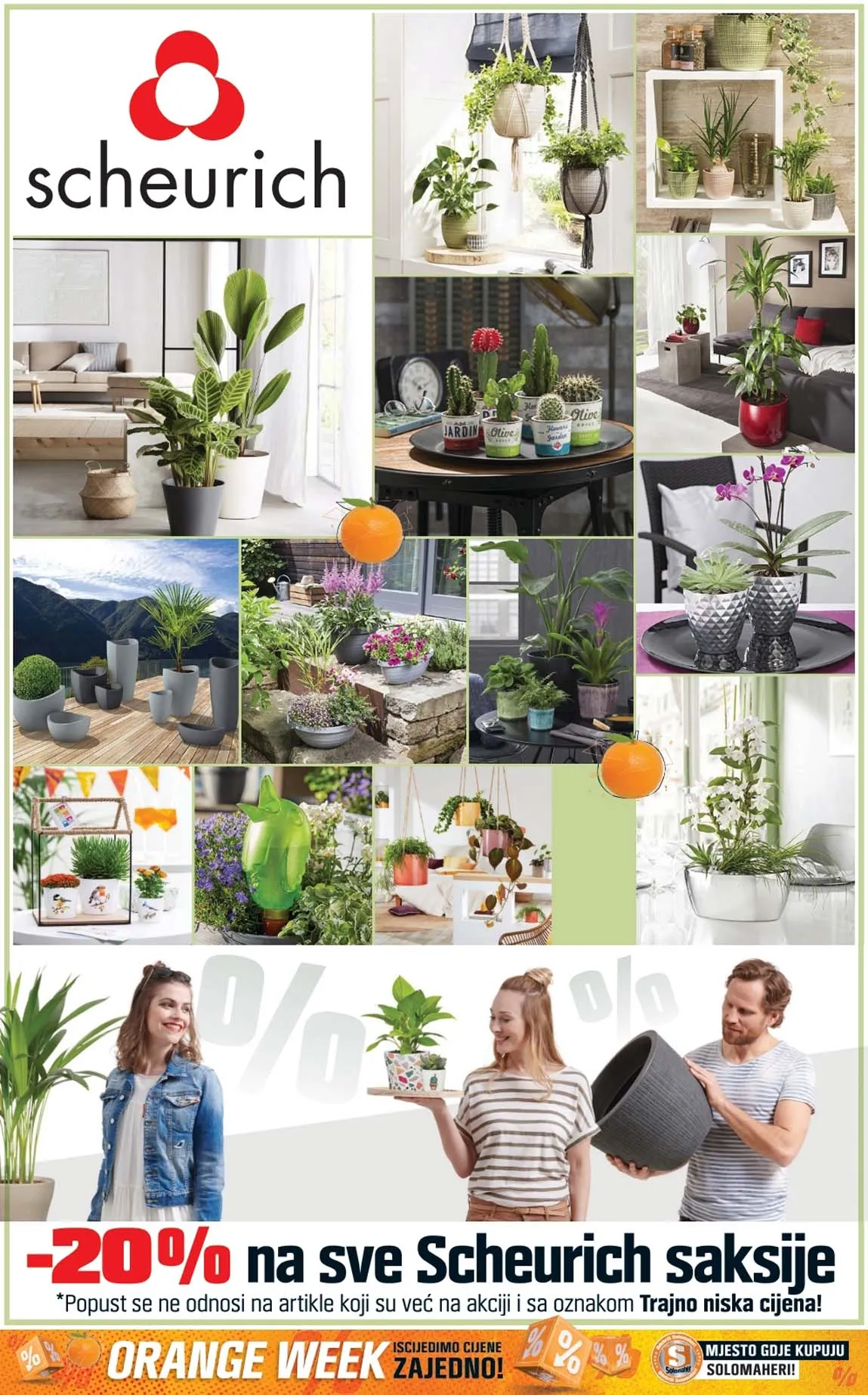 Obi solomaheri AKCIJA