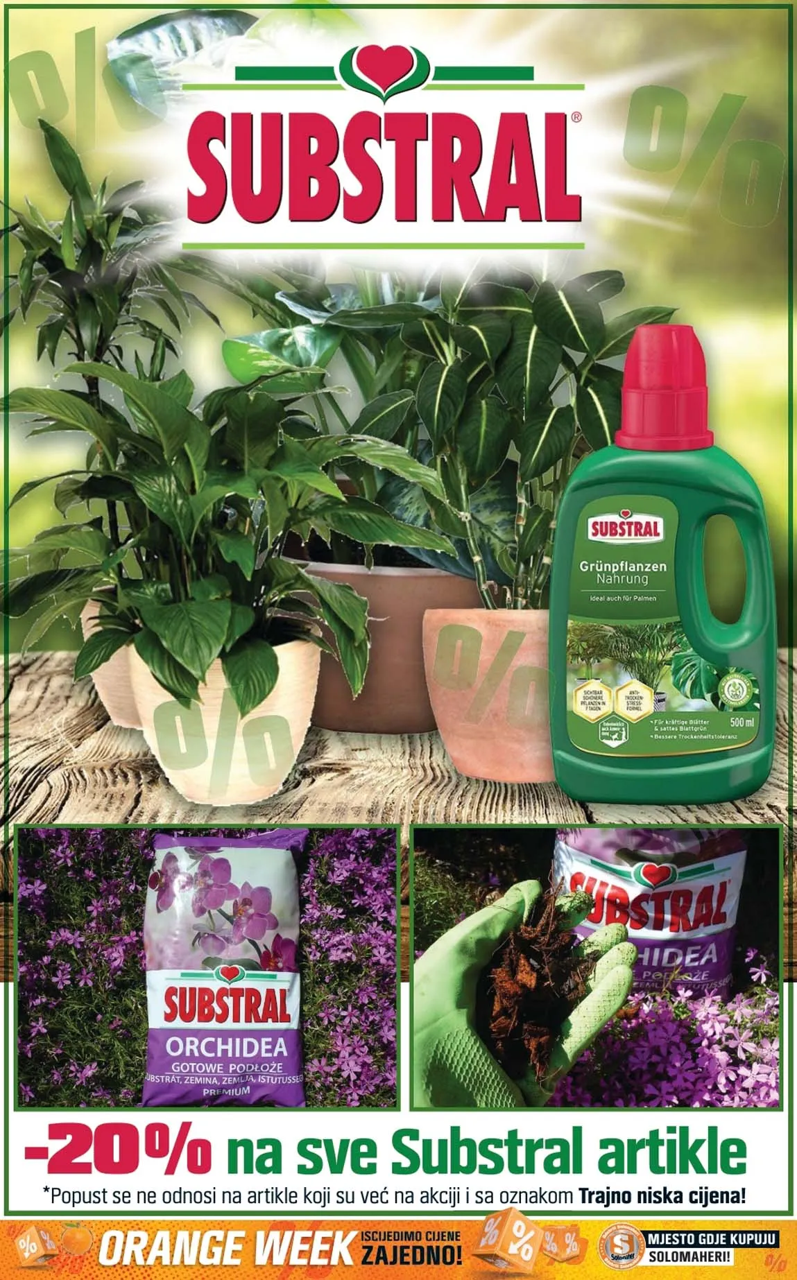 Obi solomaheri AKCIJA