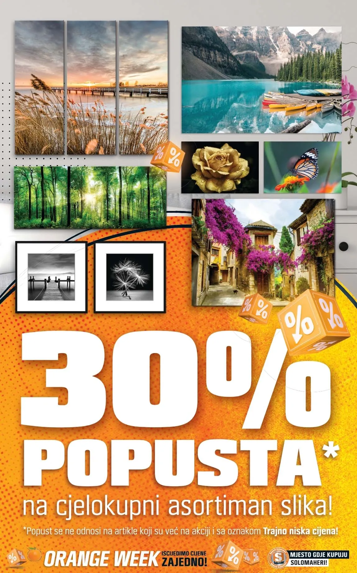 Obi solomaheri AKCIJA