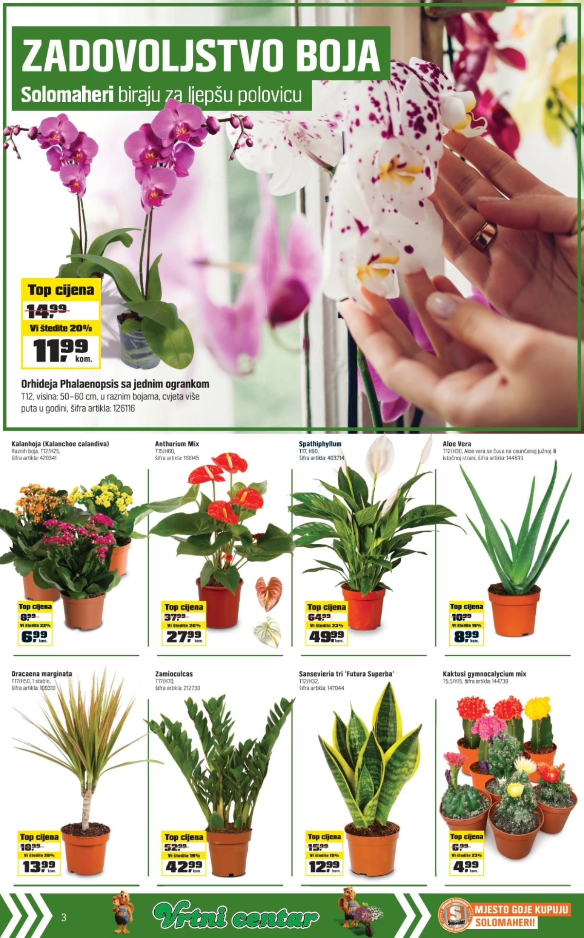 OBI orhideje, aloe vera, spatifilum i ukrasne biljke na akciji