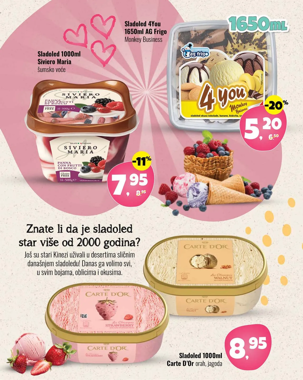 Robot katalog Katalozi Robot komerc